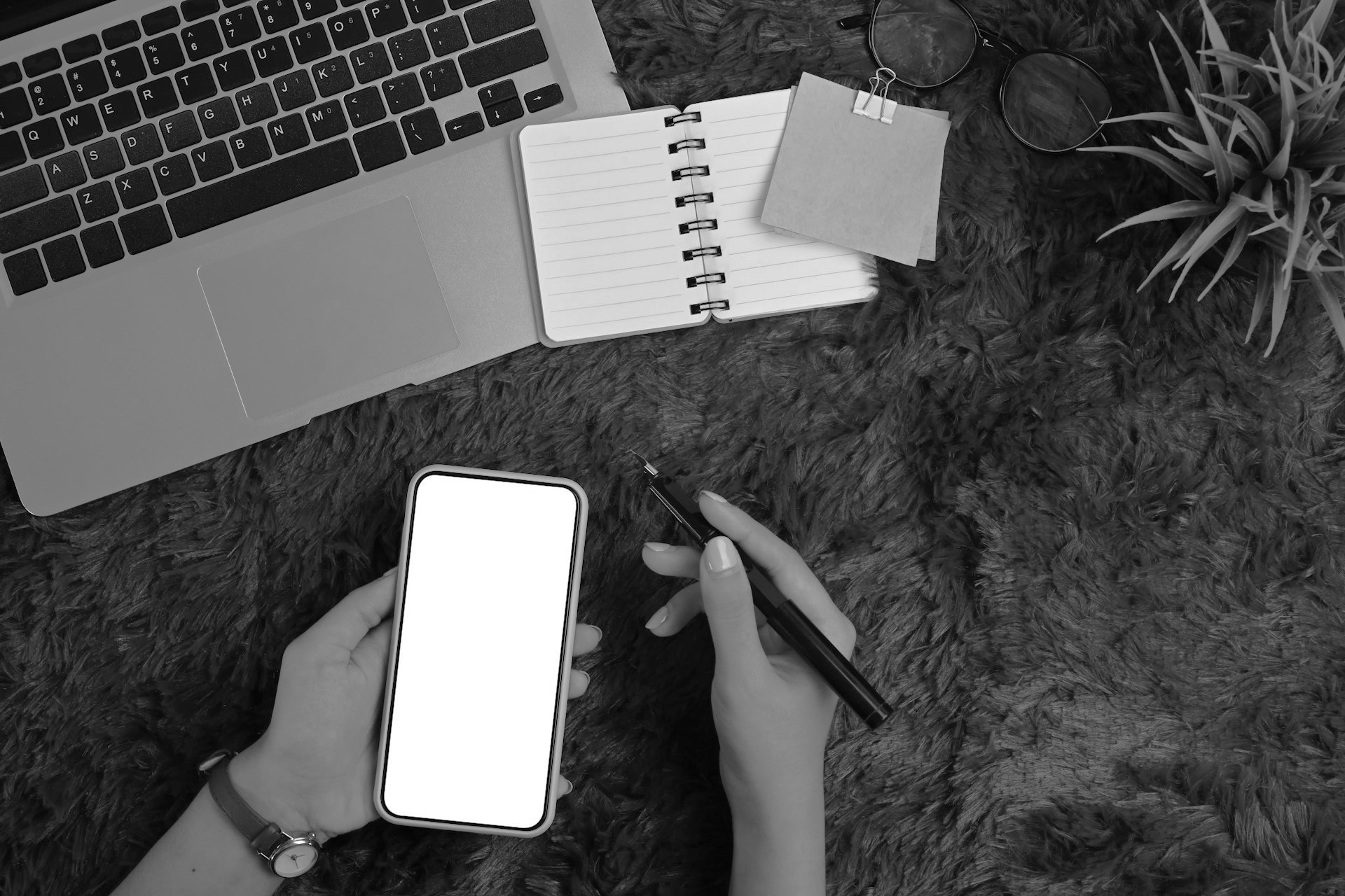 ×× ×ת-××× ××××-×××פ×× ××-× ×××××